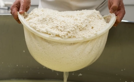 Sustainable Protein Powders | Whey vs Plant-Based Protein Supplements