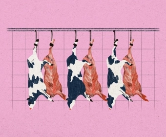 Small Abattoirs are Closing Fast | Why Does That Matter?