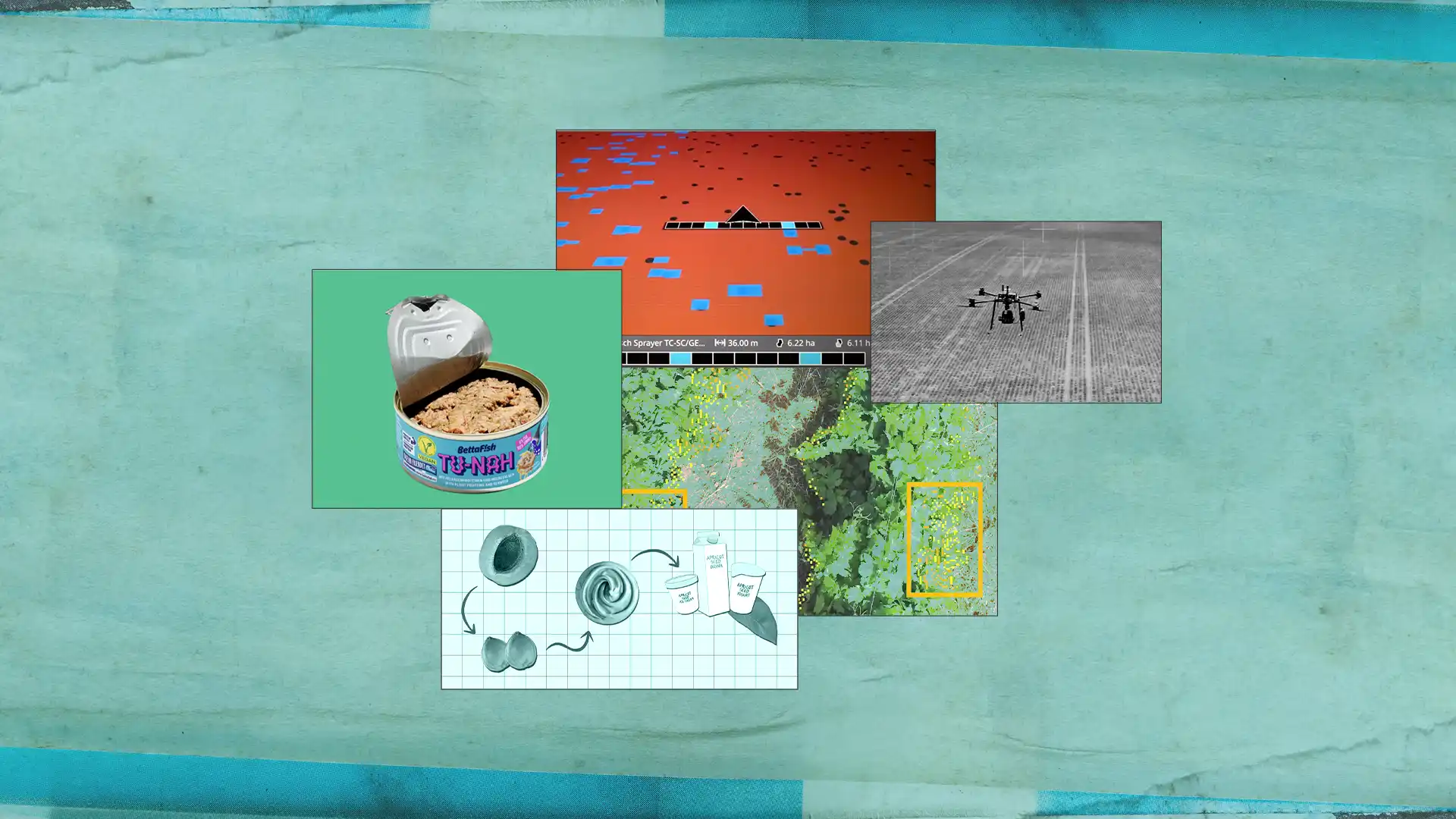 banner_5_Start-Ups_that_Change_How_We_Grow,_Produce_and_Eat_Food_.webp