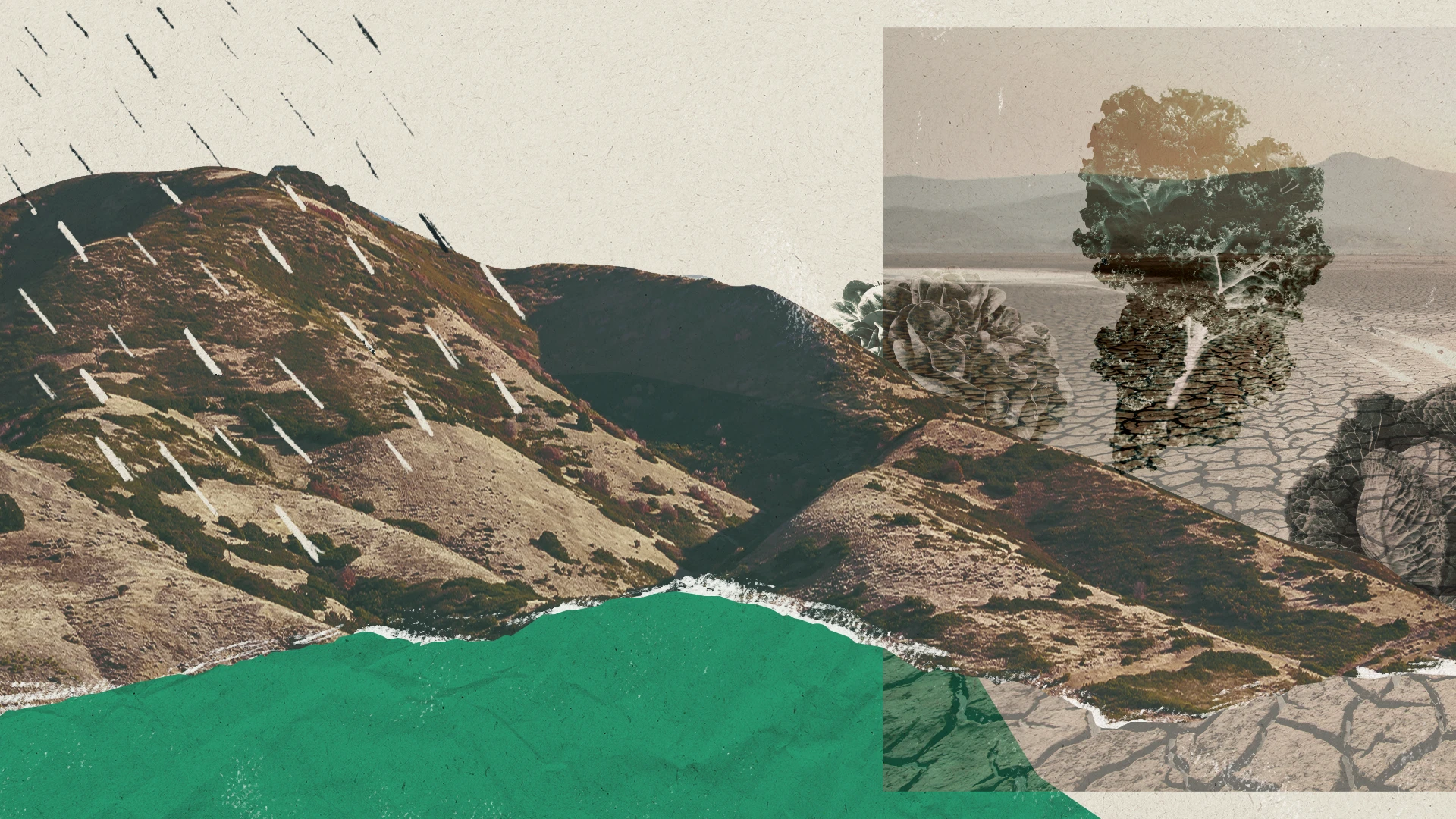 Banner_mono_poly.webp