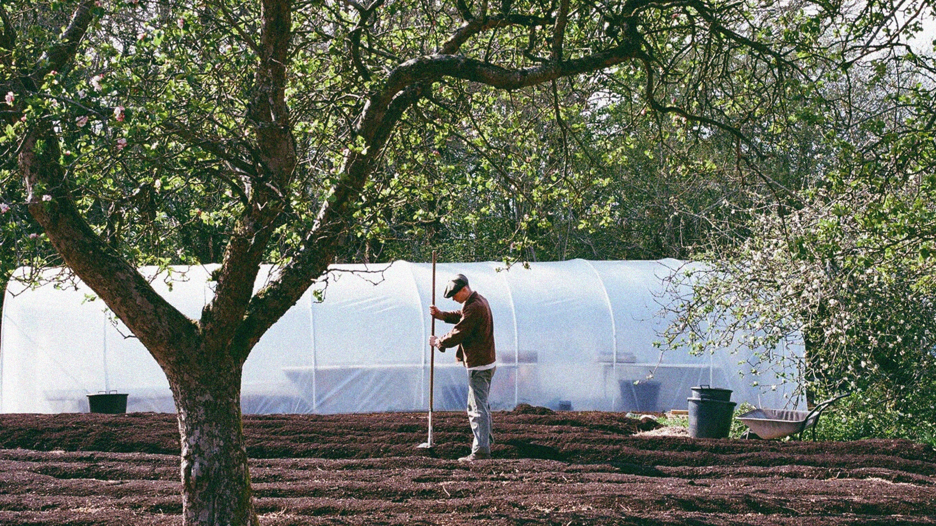 Banner_no_till_farming.webp