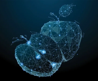 Blockchain In Agriculture | Digitalising The Food System