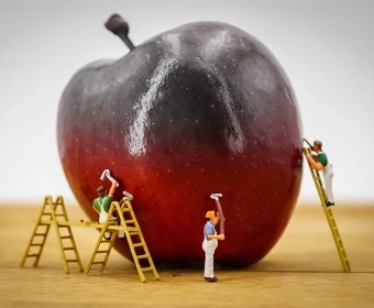 Food Fraud | When Does Food Become Criminal?