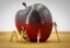 category-food-fraud.webp