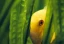 category-image-aquaponics.webp