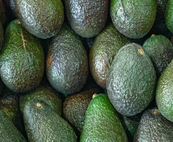 El aguacate y su coste de producción
