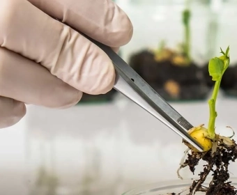 category-image-CRISPR_2.webp