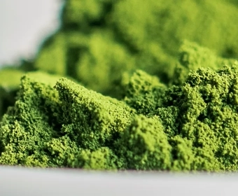 Spirulina | How It’s Grown