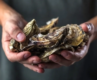 category-image-toxic-shellfish.webp