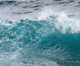 category-image-water-footprint.webp