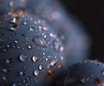 category-image-waterfootprint-what.webp