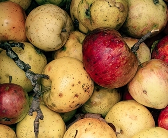EN_Imperfect-food_Thumb.webp
