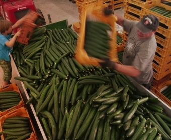 food_waste_banner.webp