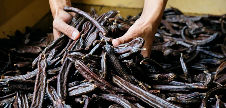 Carob