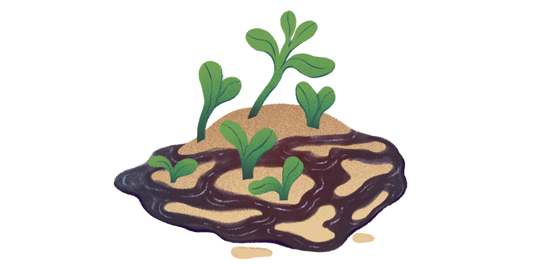 Why Soil Matters