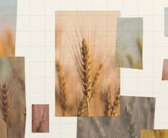 The Great Gene Editing Debate: The Good, Bad and the Ugly