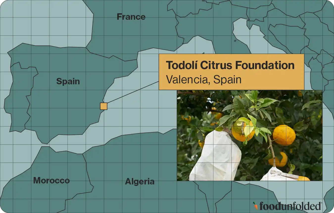Map showing location of Citrus foundation