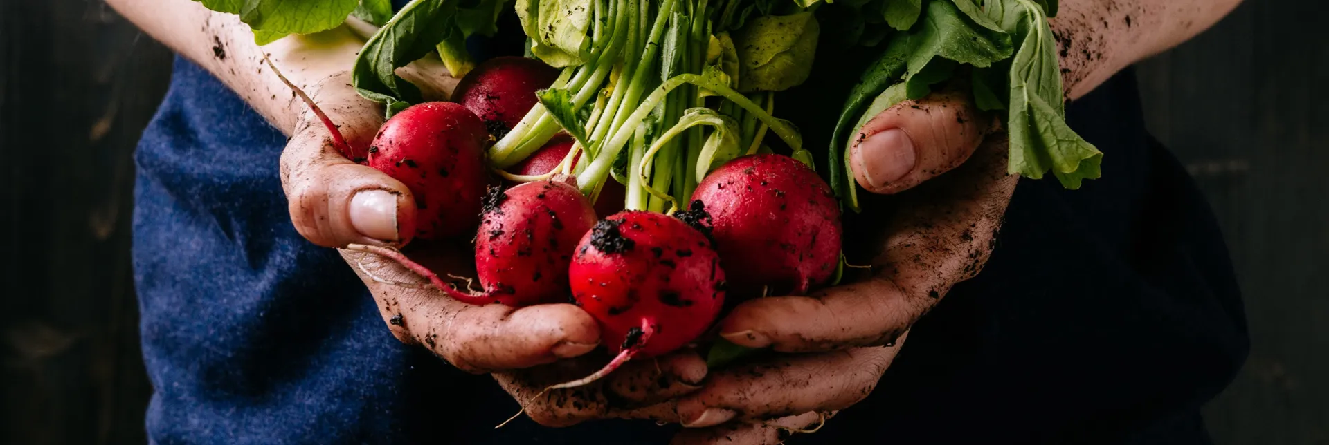 header-banner-organicfoodchemicalfree.webp