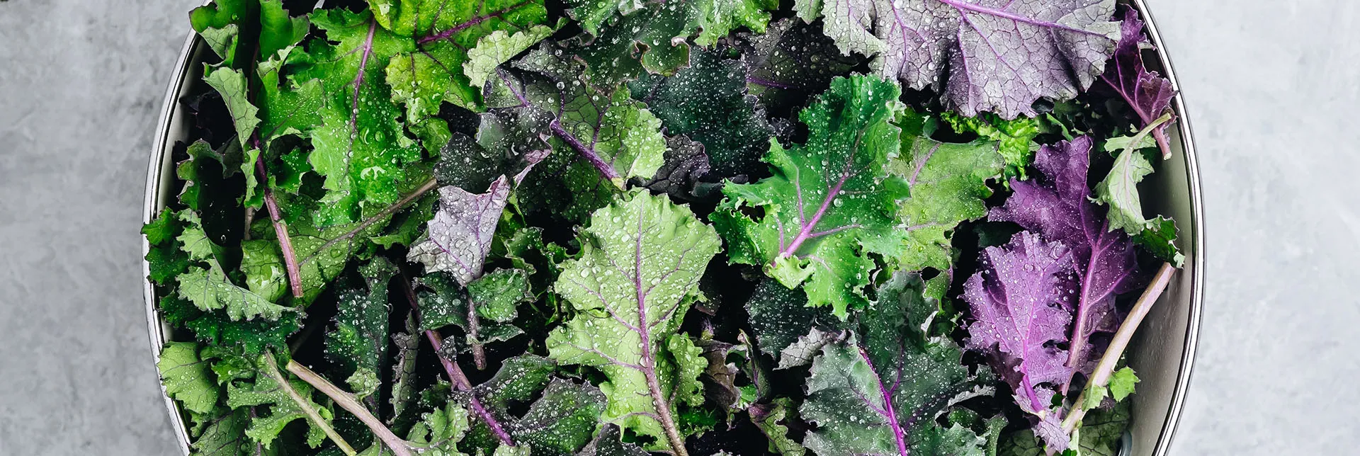 Fuentes de hierro de origen vegetal