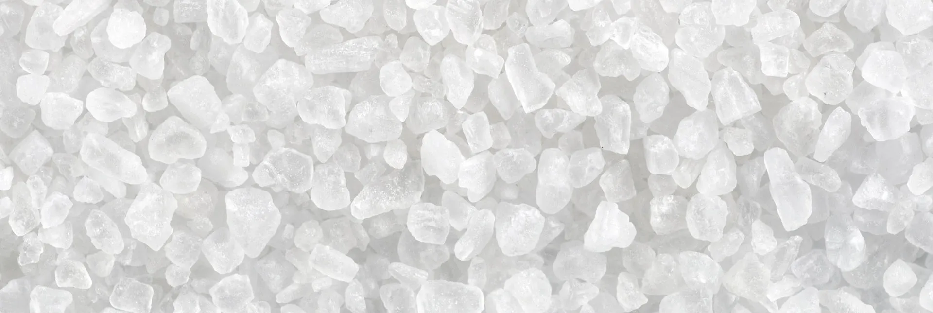 header-banner-salt-production.webp