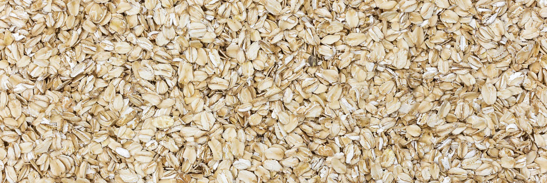 home-banner-plantbasedgut.webp