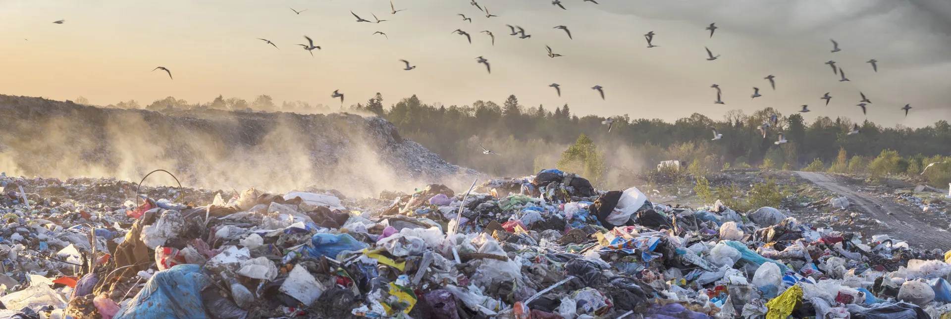 home-banner-the-cost-of-food-waste.webp