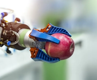 how_food_is_made.webp