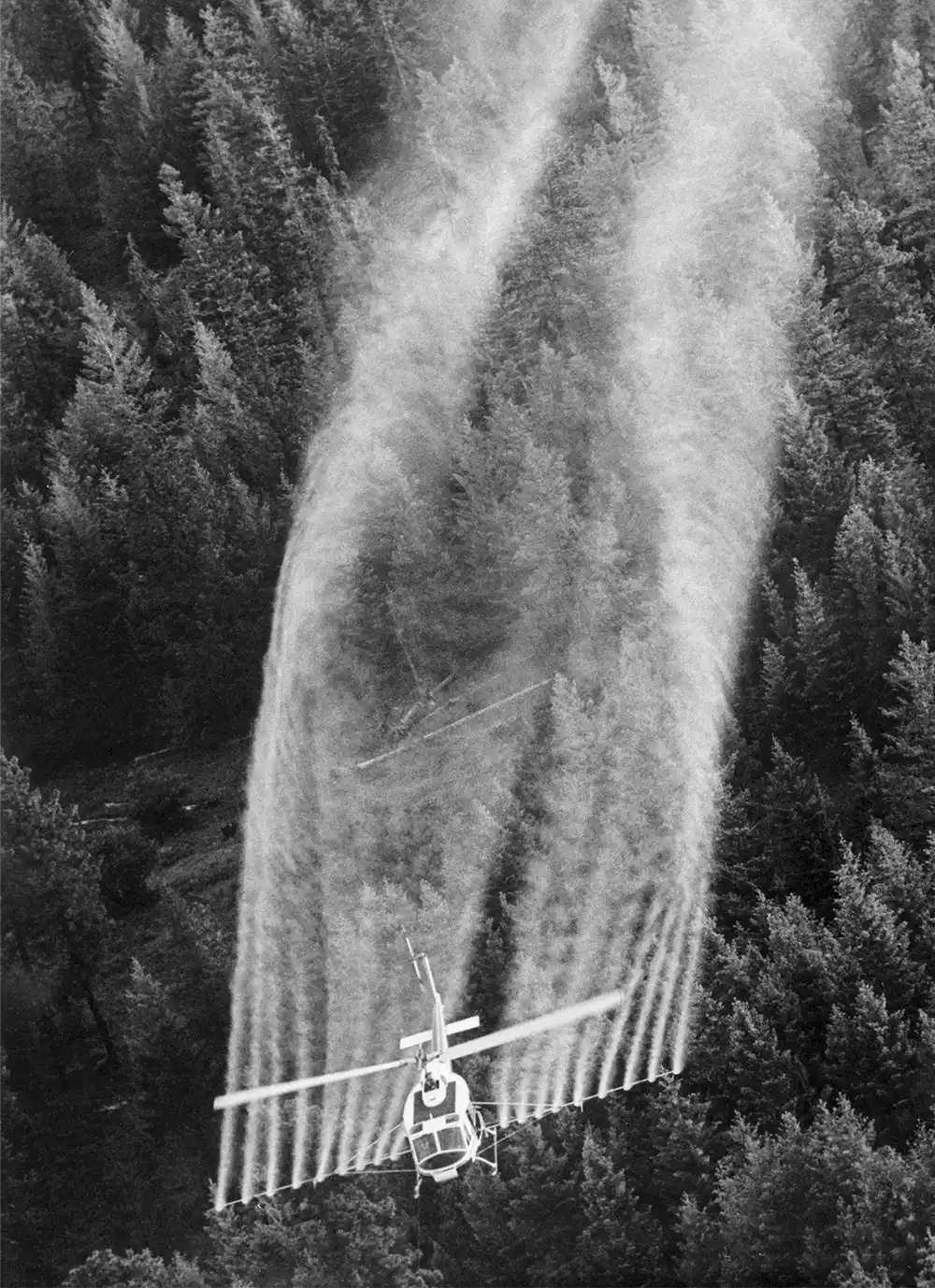 DDT being sprayed after World War II
