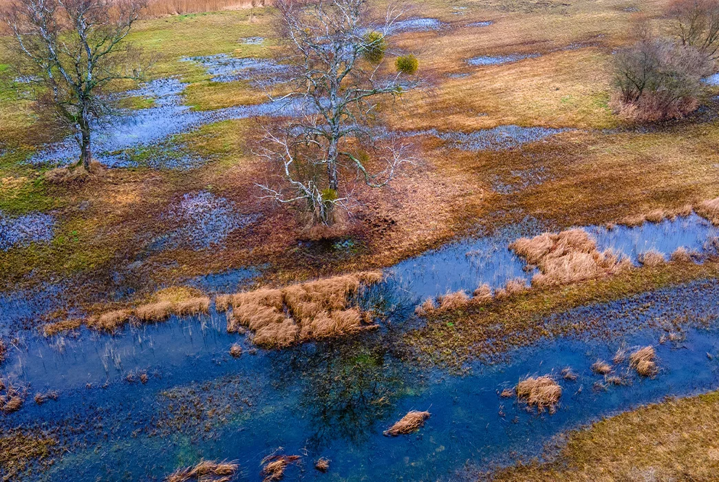Meadows, swales and reed beds make up the Binsenberg slope spring bog in Germany, which covers about 36 hectares. (Photo by Jens Büttner/picture alliance via Getty Images)