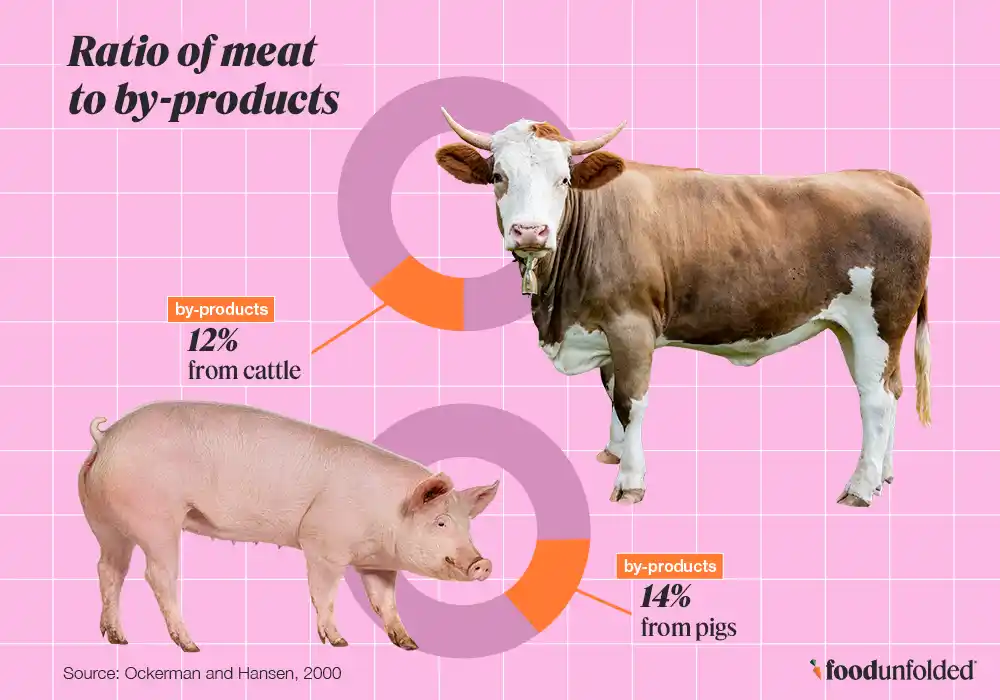 Infographic showing ratio of by products and meat for cows and pigs