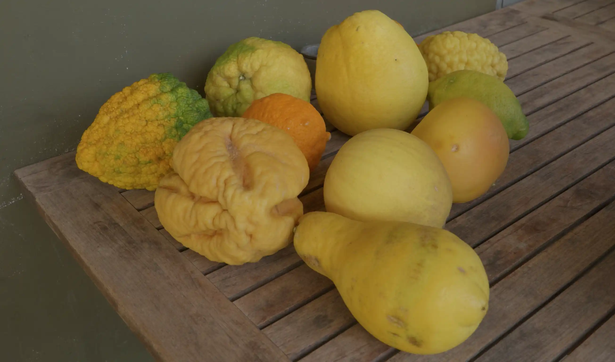 Citrus varieties 