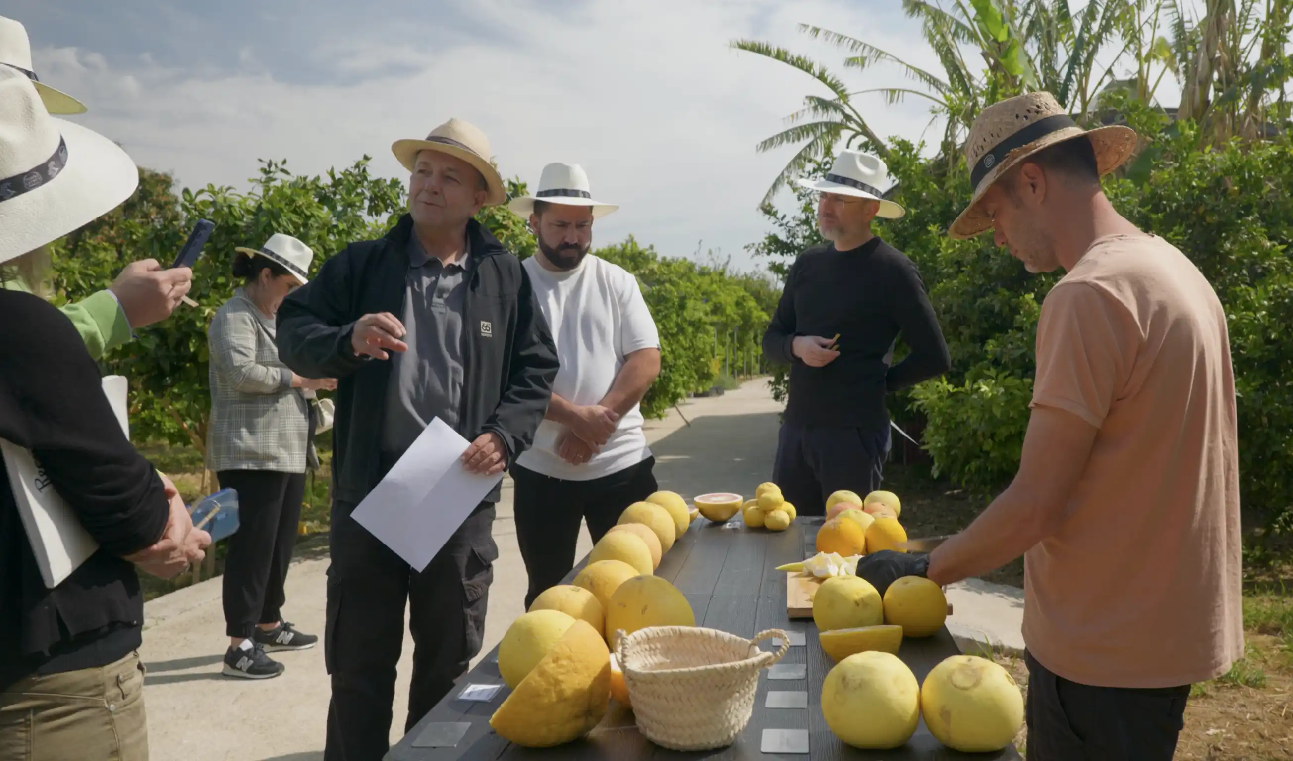 Todolí at the Citrus foundation