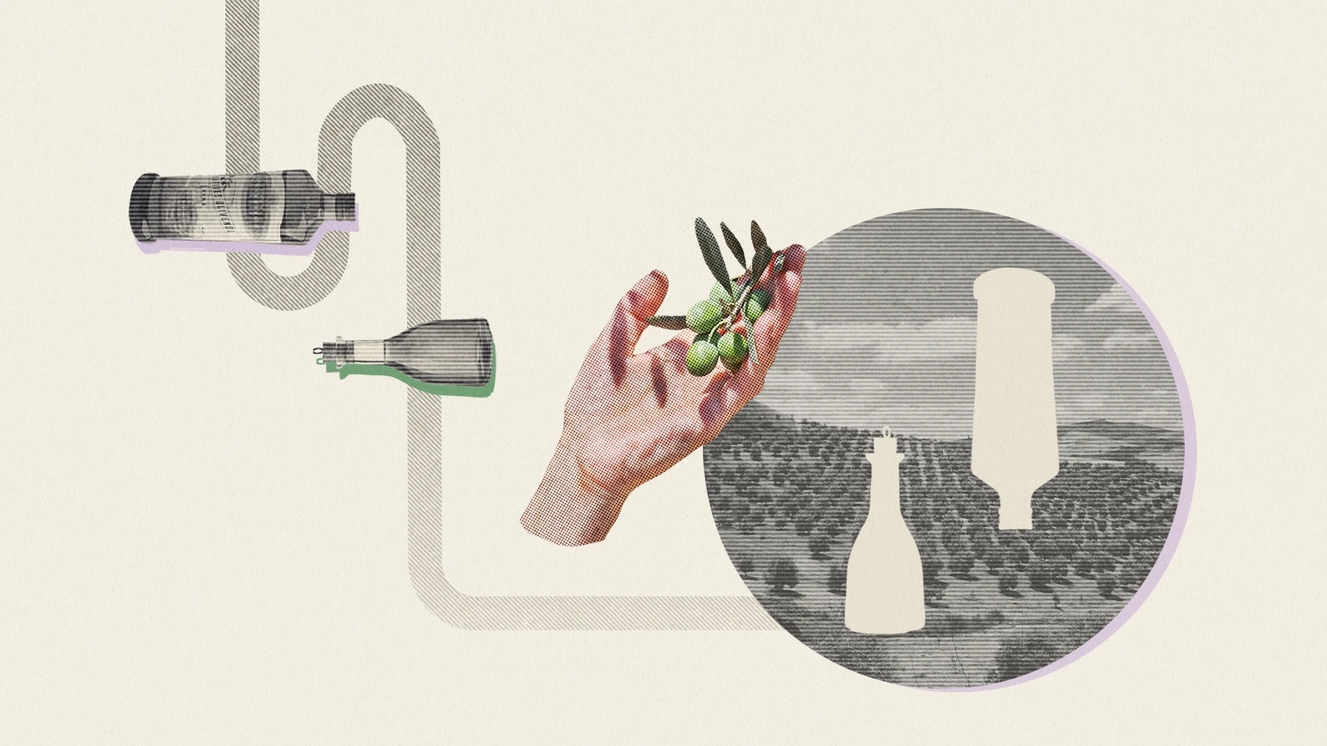 Impacts_of_Climate_Change_on_Olive_Oil_Banner.webp