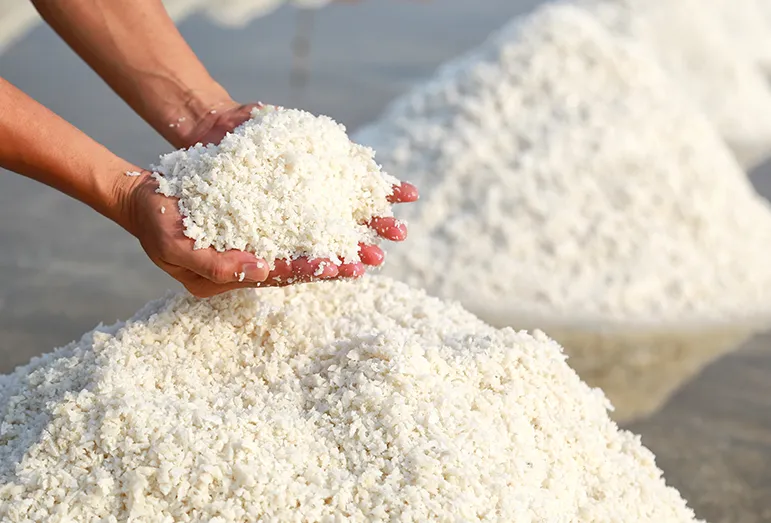 Salt Brine