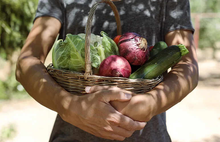 Vegetables