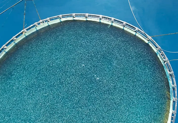 marine farming