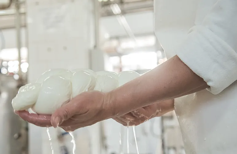 mozzarella cheese