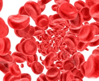 iron-absorption-category.webp