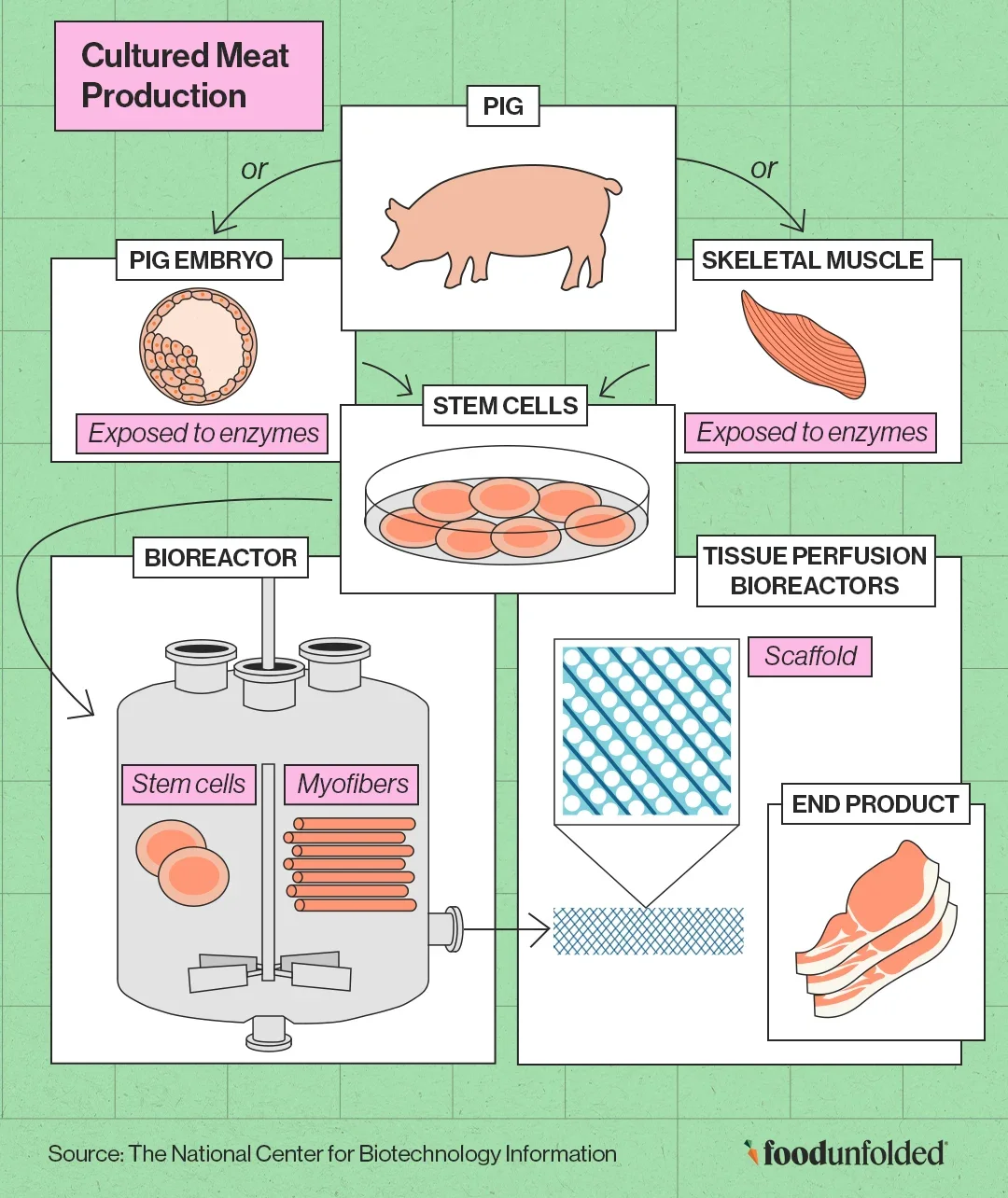 Cultural Meat Production