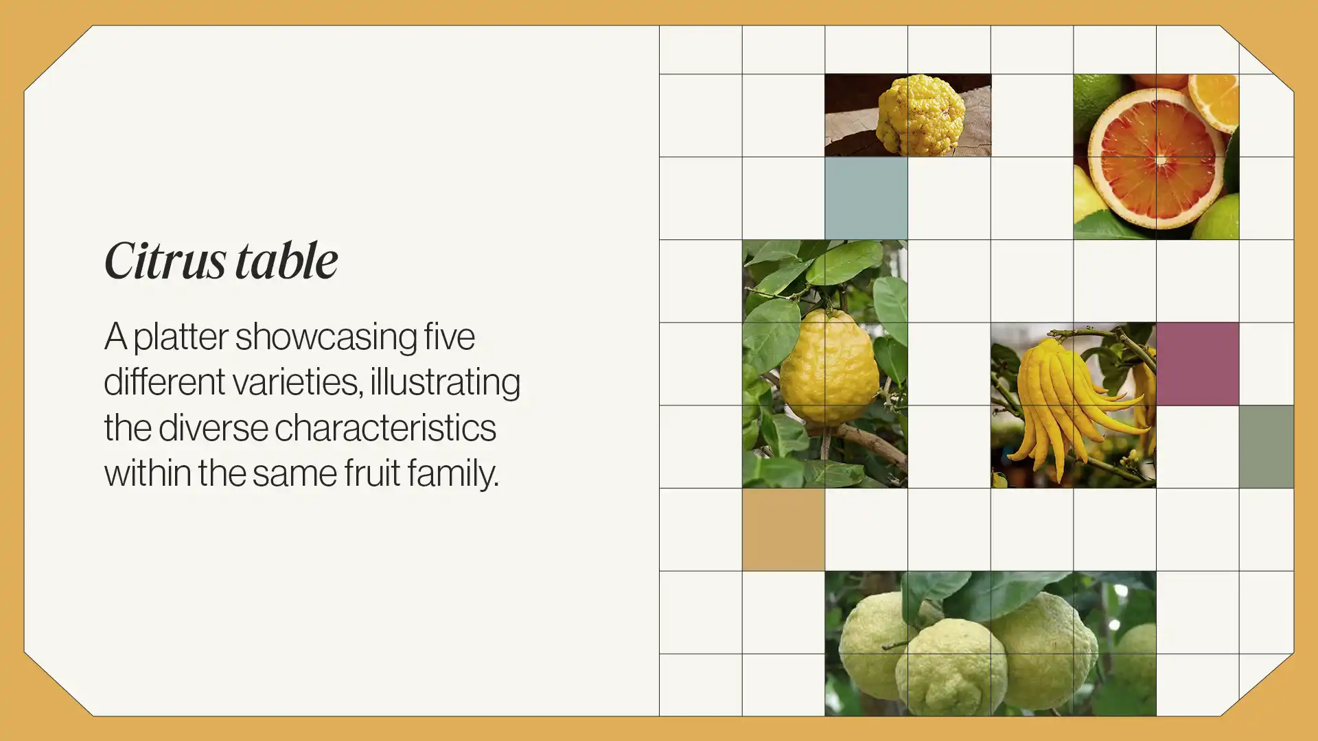 Citrus on the menu at El Poblet Restaurante