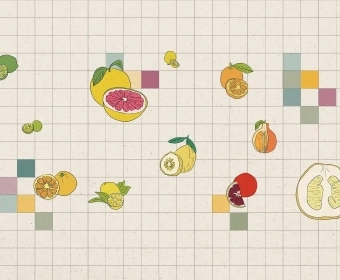 lemons_banner.webp