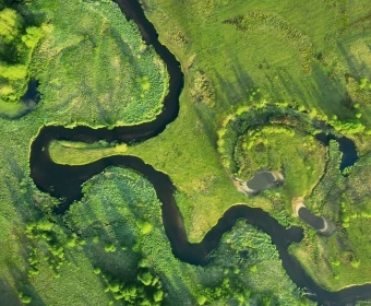 5 Lessons Agriculture Can Learn From Ecology