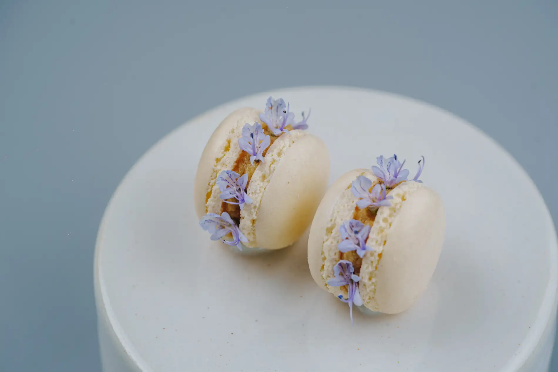 Macaron de barbo