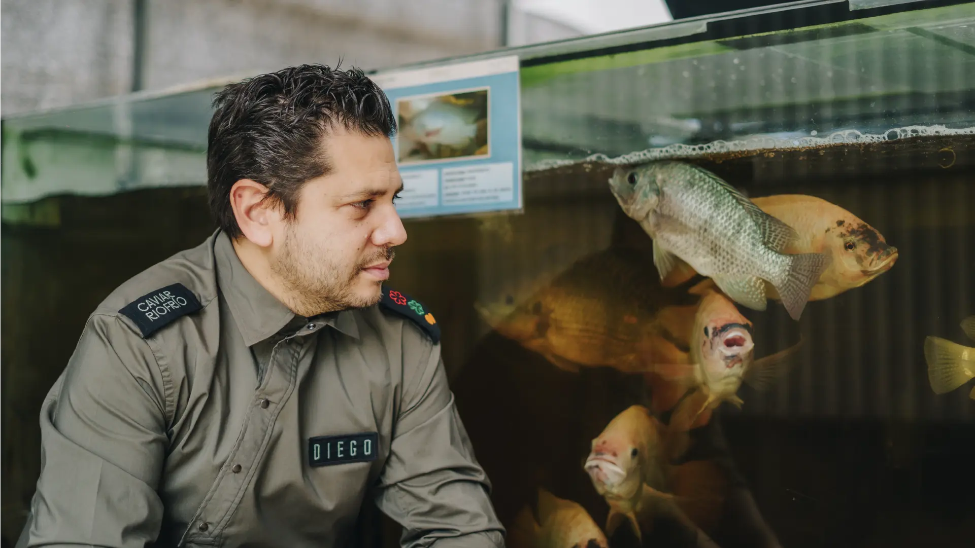El autoabastecimiento a través de los peces de río y la acuaponía | Entrevista