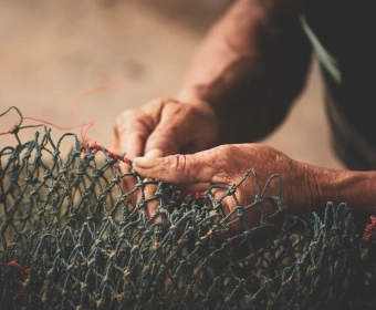 Marine-Capture-Fisheries_Social-Cost-of-Production-THUMB.webp