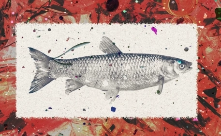 Microplastic in Our Food