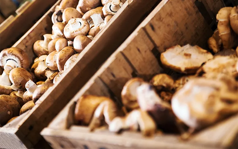 Mushrooms