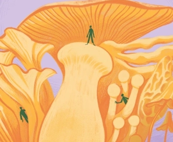 Mycophobia and the Lost Knowledge of the Fungi Kingdom