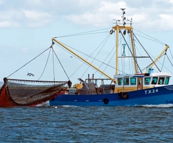 Overfishing_banner.webp
