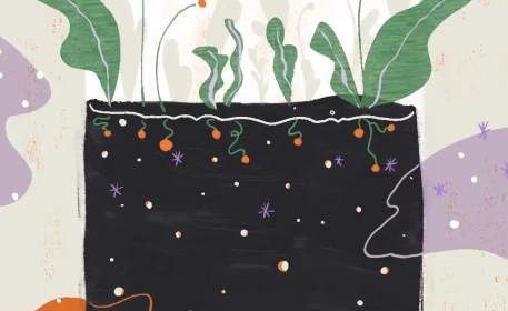 Phosphorus | How It Impacts Food Security